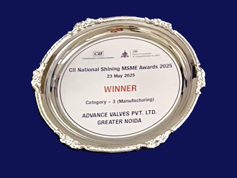 CII National Shining MSME Award 2025