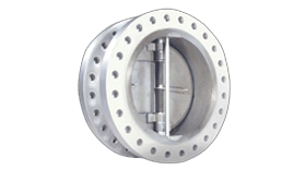 Check Valves